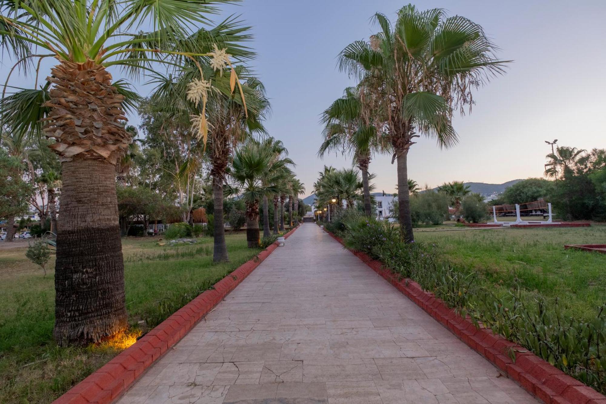 Ladonia Hotels Del Mare (Adults Only) Gumbet Exterior photo
